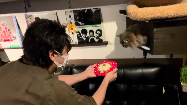 【営業日誌】ピトちゃん生誕祭