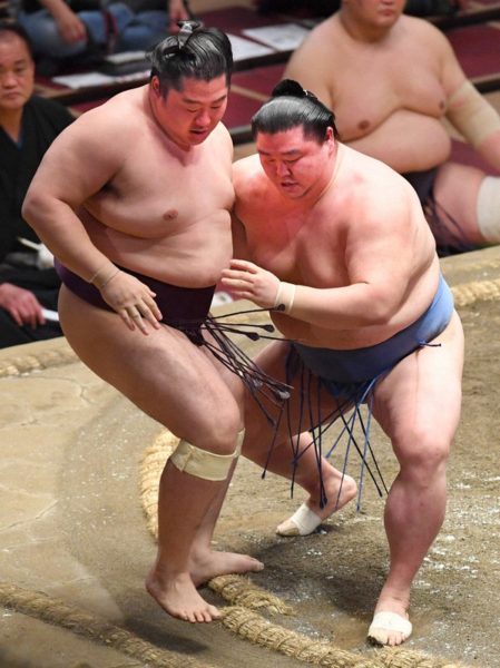 今日からしれっと