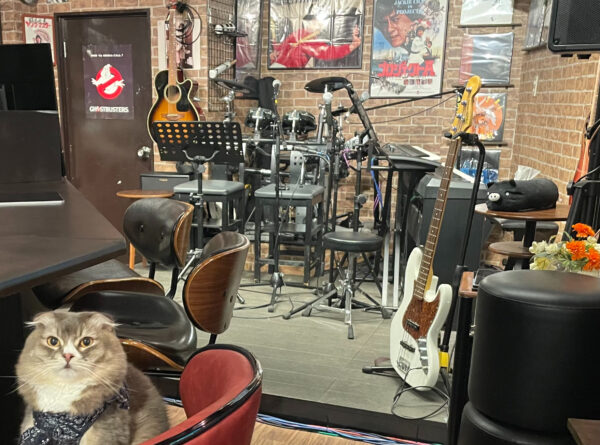 【ヤングマスター金曜日の楽しみ方】生演奏デーをさらに強化します！